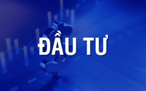 Dịch vụ phân tích đầu tư và báo cáo chuyên sâu